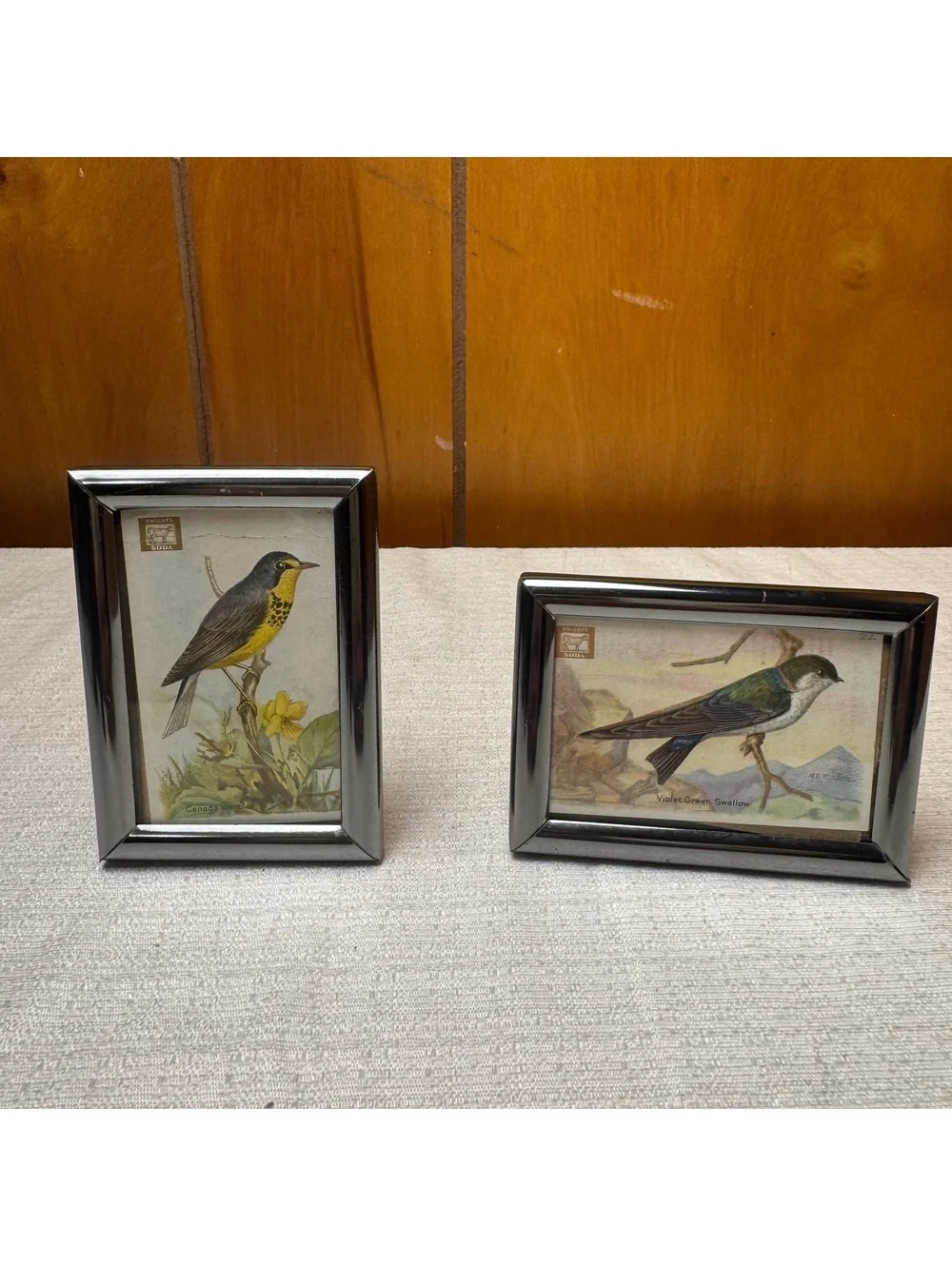 Vintage Mini Bird Prints in Silver Tone Frames Set of 2 Dwight’s Soda Card Art